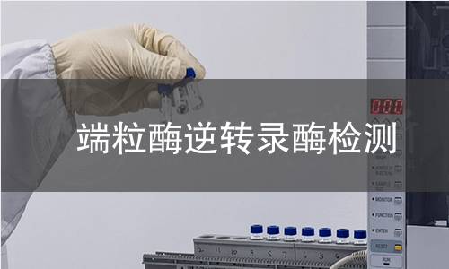 端粒酶逆轉錄酶檢測 端粒酶逆轉錄酶檢測