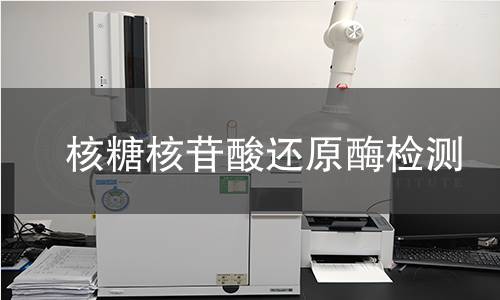 核糖核苷酸還原酶檢測 核糖核苷酸還原酶檢測