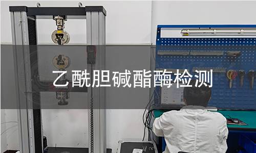 乙酰膽堿酯酶檢測 乙酰膽堿酯酶檢測