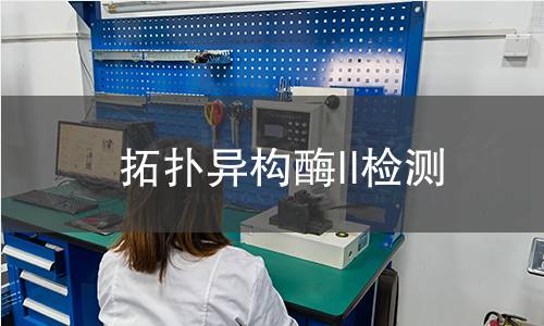 拓撲異構(gòu)酶II檢測 拓撲異構(gòu)酶II檢測