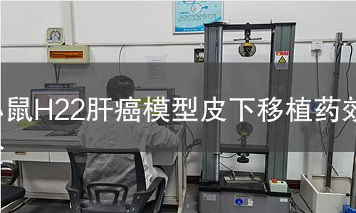 小鼠H22肝癌模型皮下移植藥效實驗 小鼠H22肝癌模型皮下移植藥效實驗
