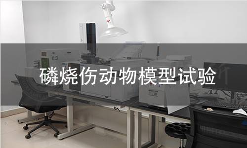 磷燒傷動物模型試驗 磷燒傷動物模型試驗