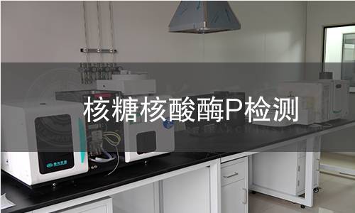 核糖核酸酶P檢測 核糖核酸酶P檢測