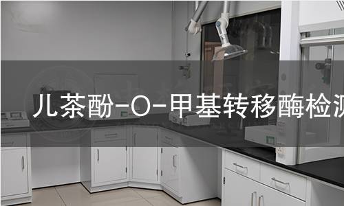 兒茶酚-O-甲基轉移酶檢測 兒茶酚-O-甲基轉移酶檢測