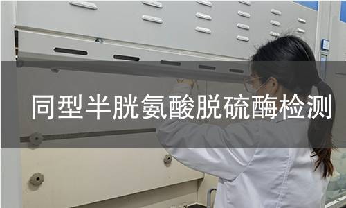 同型半胱氨酸脫硫酶檢測 同型半胱氨酸脫硫酶檢測