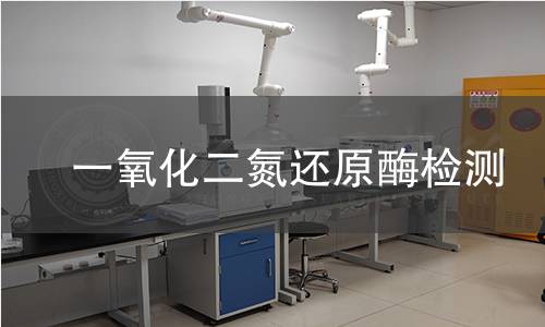 一氧化二氮還原酶檢測 一氧化二氮還原酶檢測