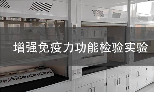 增強免疫力功能檢驗實驗