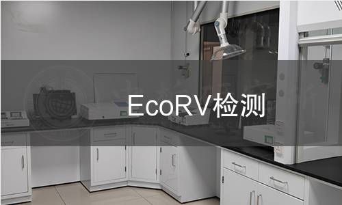 EcoRV檢測 EcoRV檢測