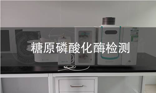 糖原磷酸化酶檢測 糖原磷酸化酶檢測