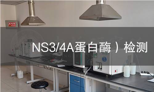 NS3/4A蛋白酶)檢測 NS3/4A蛋白酶)檢測