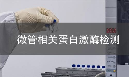 微管相關(guān)蛋白激酶檢測 微管相關(guān)蛋白激酶檢測