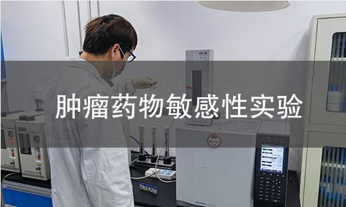 腫瘤藥物敏感性實驗