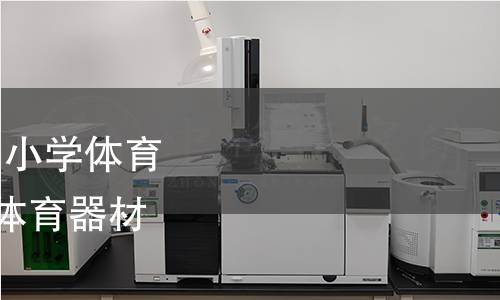 GB/T 19851.1-2022 中小學體育器材和場地 第1部分:體育器材的通用要求和試驗方法 GB/T 19851.1-2022 中小學體育器材和場地 第1部分:體育器材的通用要求和試驗方法