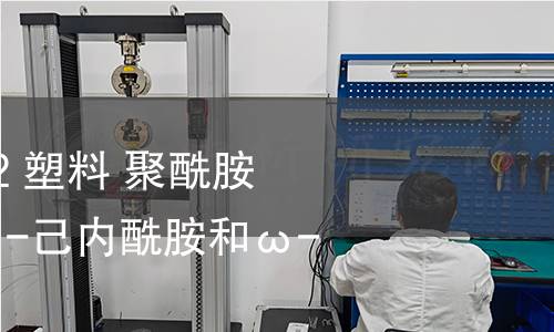 GB/T 41489-2022 塑料 聚酰胺 氣相色譜法測定ε-己內酰胺和ω-十二內酰胺