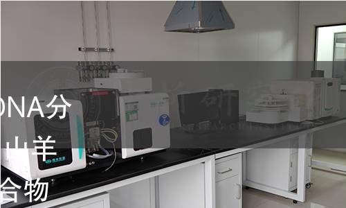 GB/T 40903-2021 紡織品 DNA分析法鑒別某些特種動物纖維 山羊絨、綿羊毛、牦牛絨及其混合物 GB/T 40903-2021 紡織品 DNA分析法鑒別某些特種動物纖維 山羊絨、綿羊毛、牦牛絨及其混合物