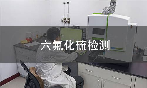 六氟化硫檢測