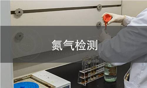氮氣檢測