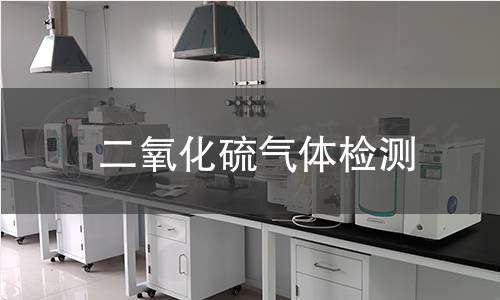 二氧化硫氣體檢測