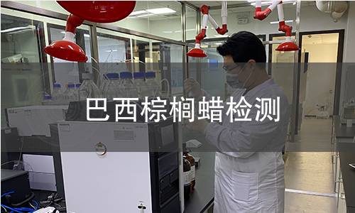 巴西棕櫚蠟檢測